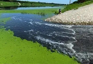 面對黑臭水體治理難題，都有哪些應用不錯的處理工藝？